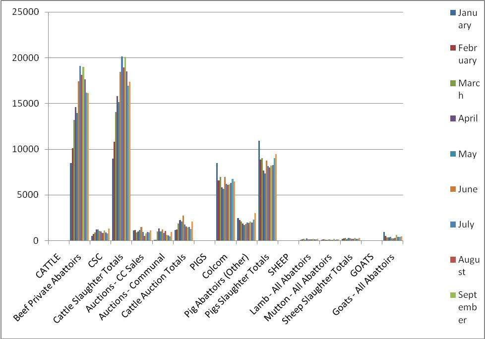 graph 7