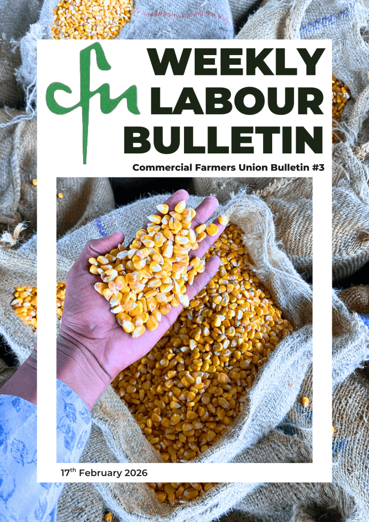 Weekly Labour Bulletin #3