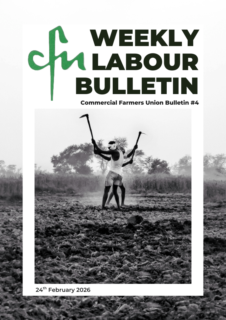 Labour Bulletin #4