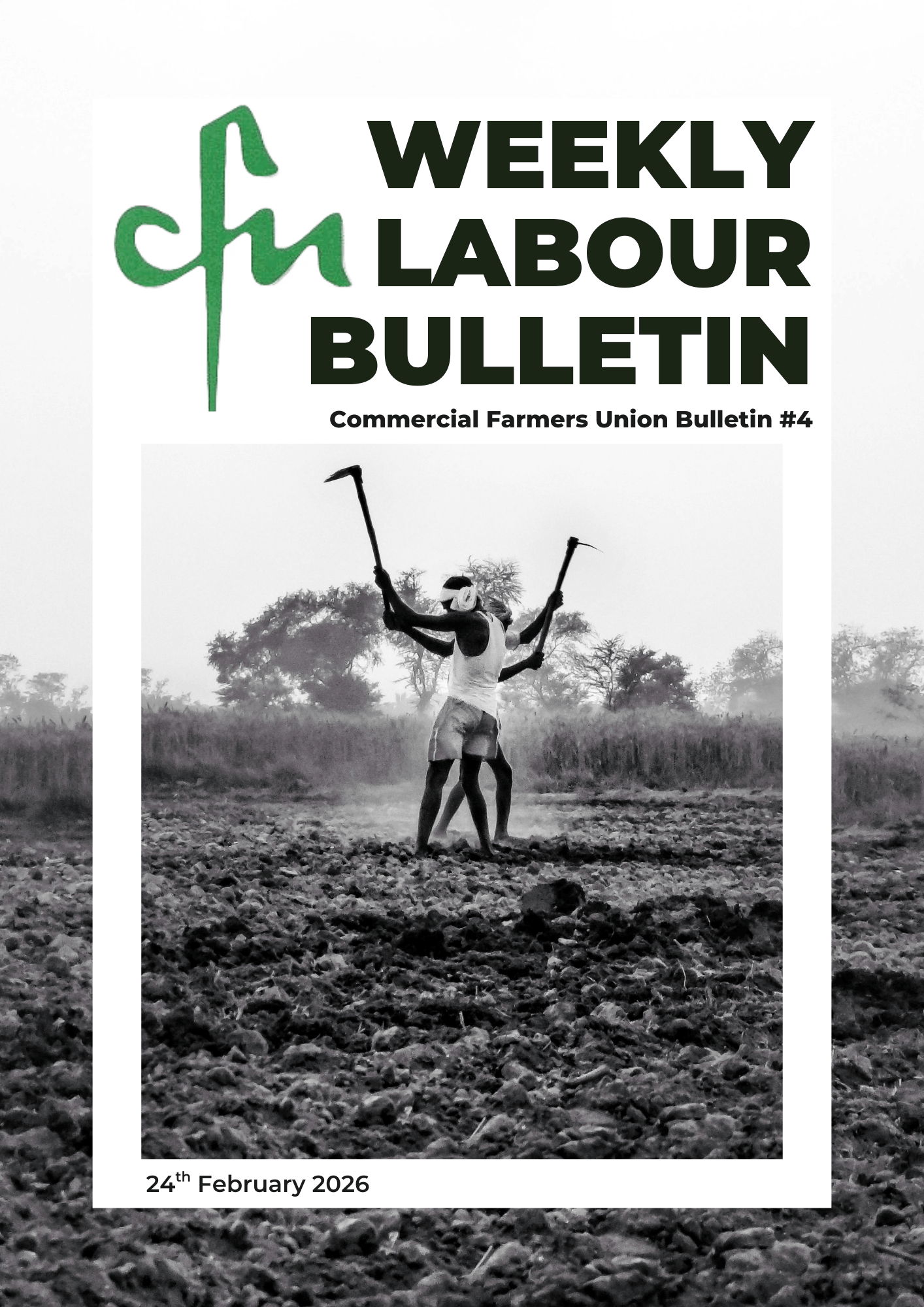 Labour Bulletin #4