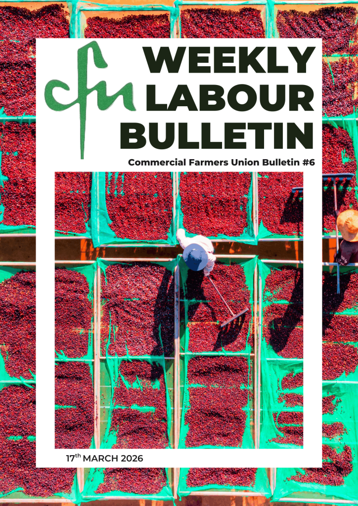 Labour Bulletin #6