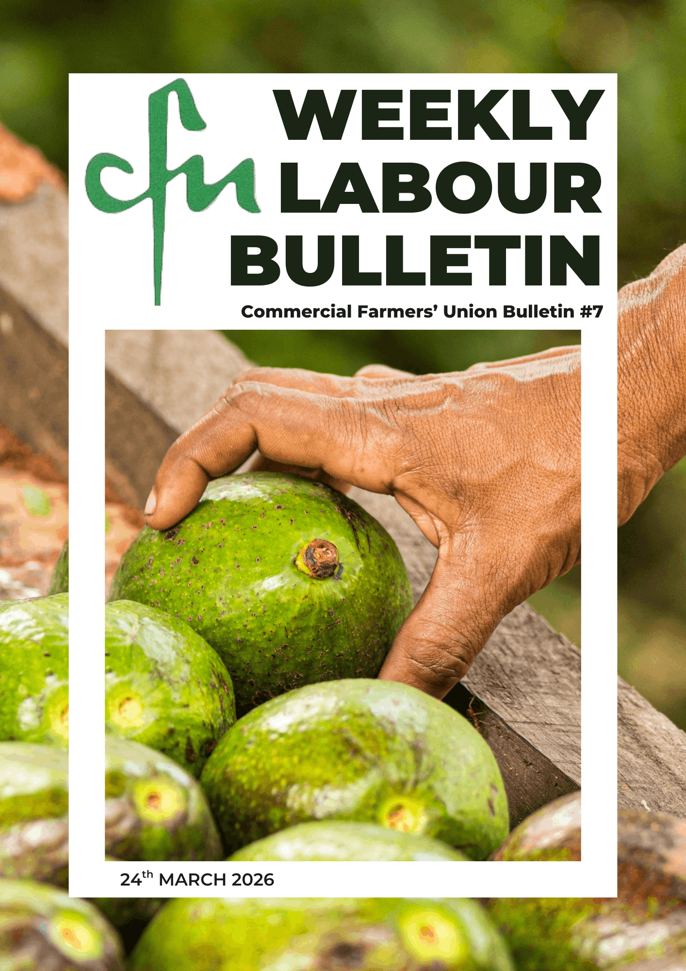 Labour Bulletin #7