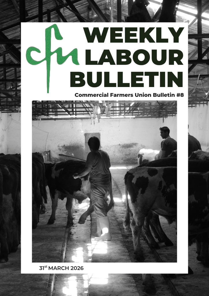 Labour Bulletin #8