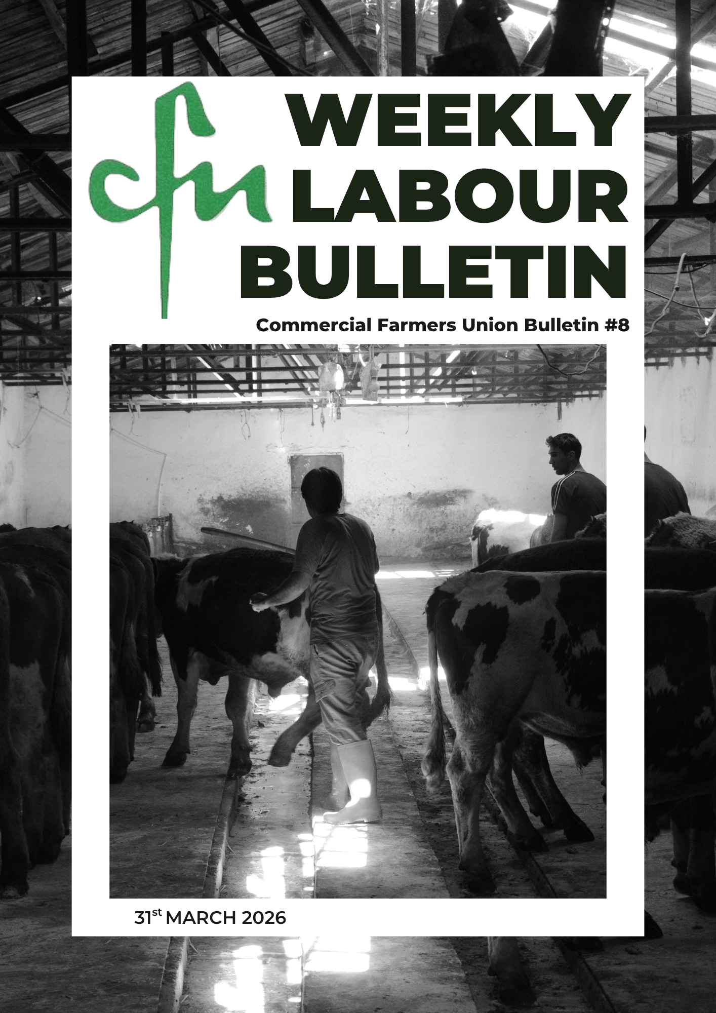Labour Bulletin #8