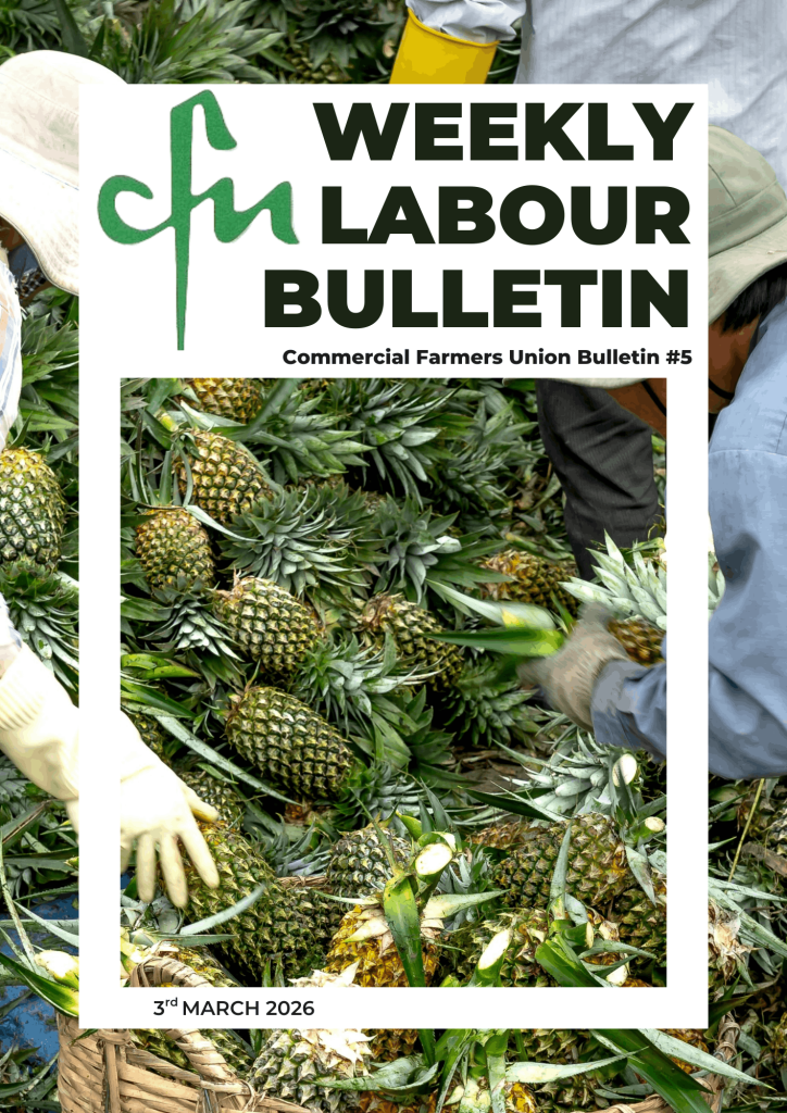 Labour Bulletin #5