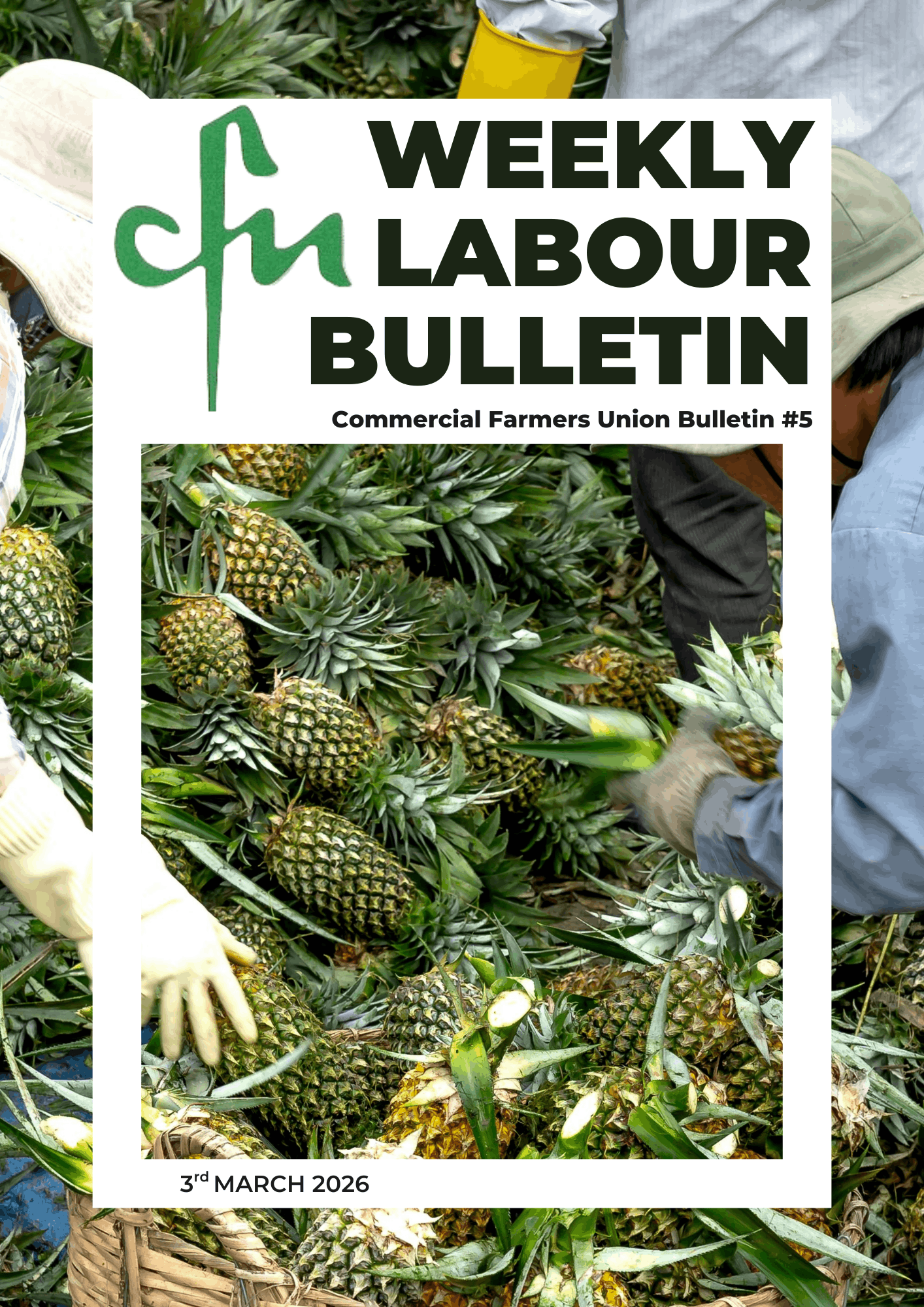 Labour Bulletin #5