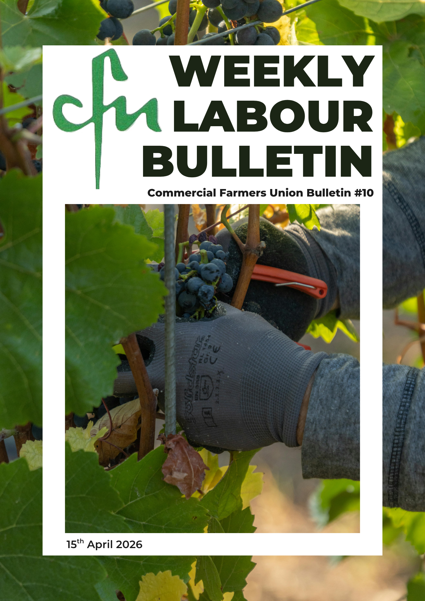 Labour Bulletin #10