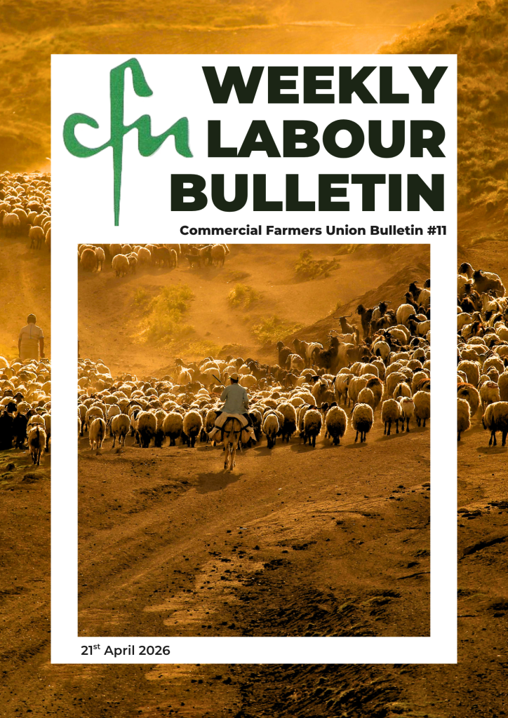 Labour Bulletin #11