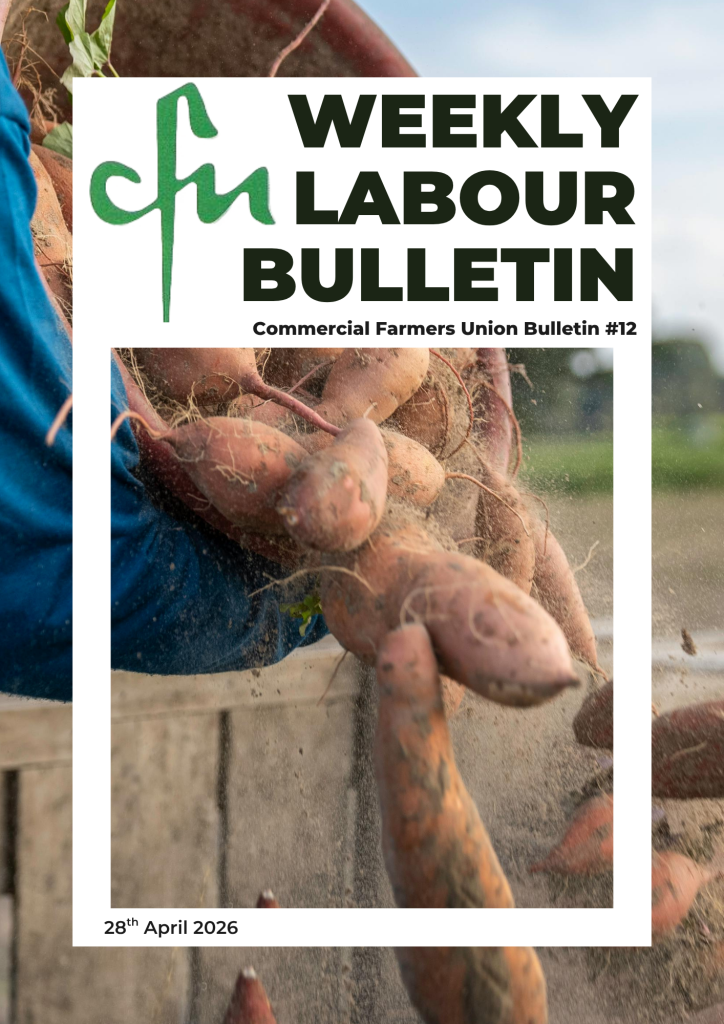 Labour Bulletin #12