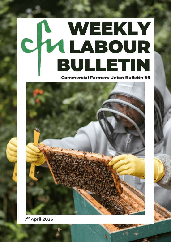 Labour Bulletin #9