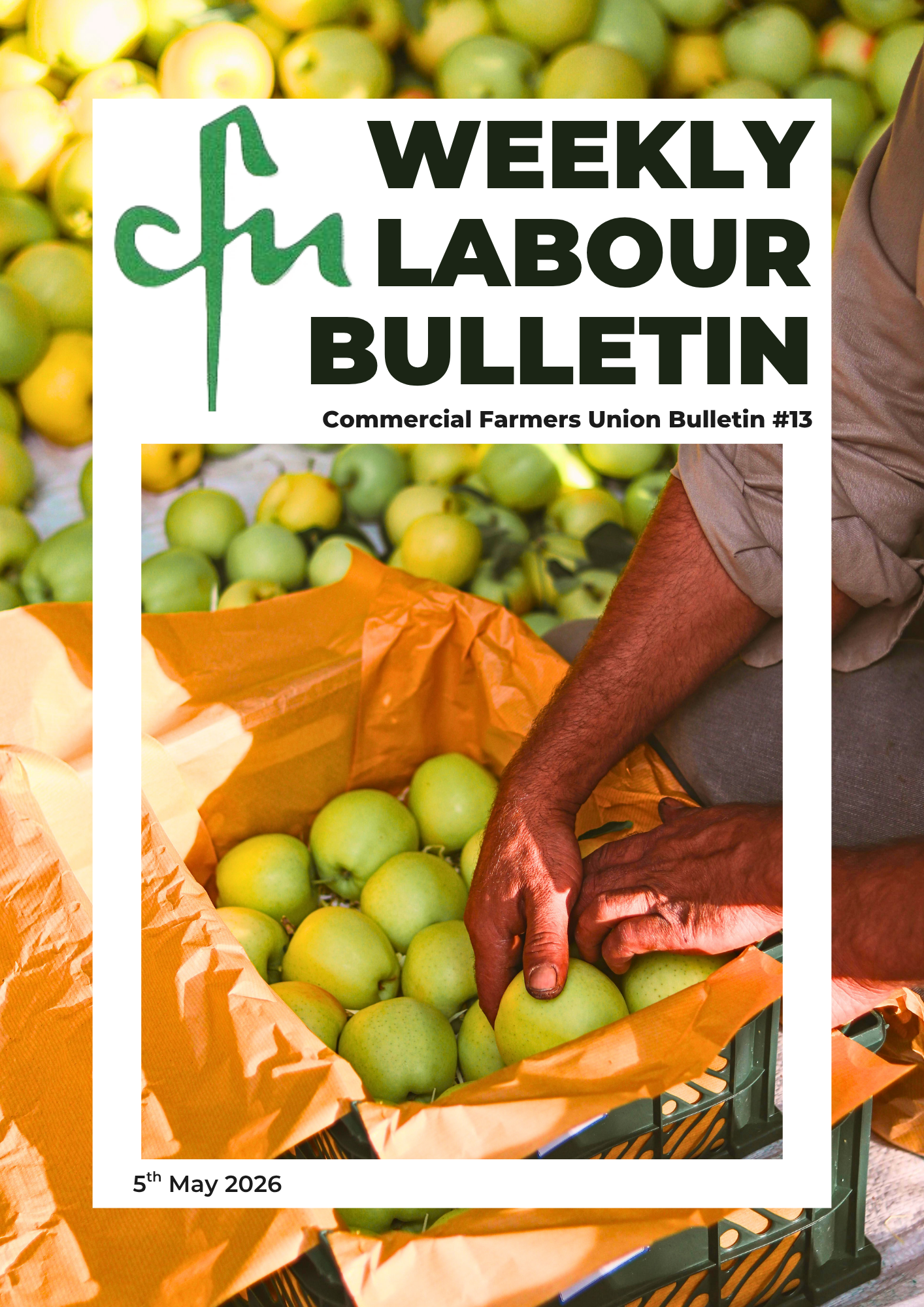Labour Bulletin #13