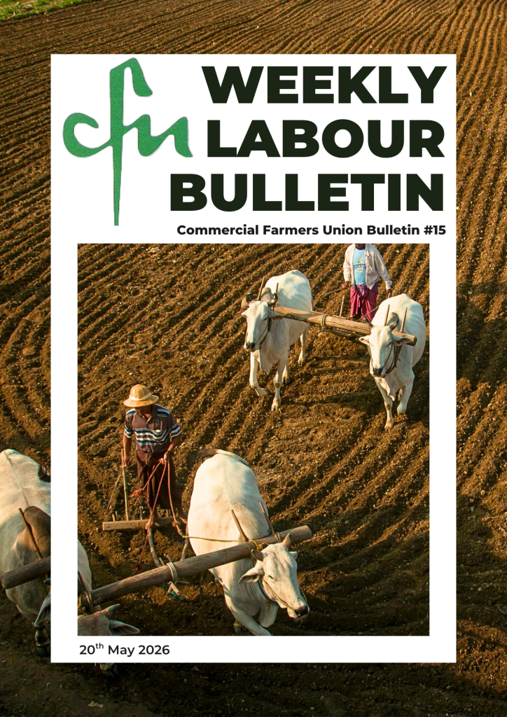 Labour Bulletin #15