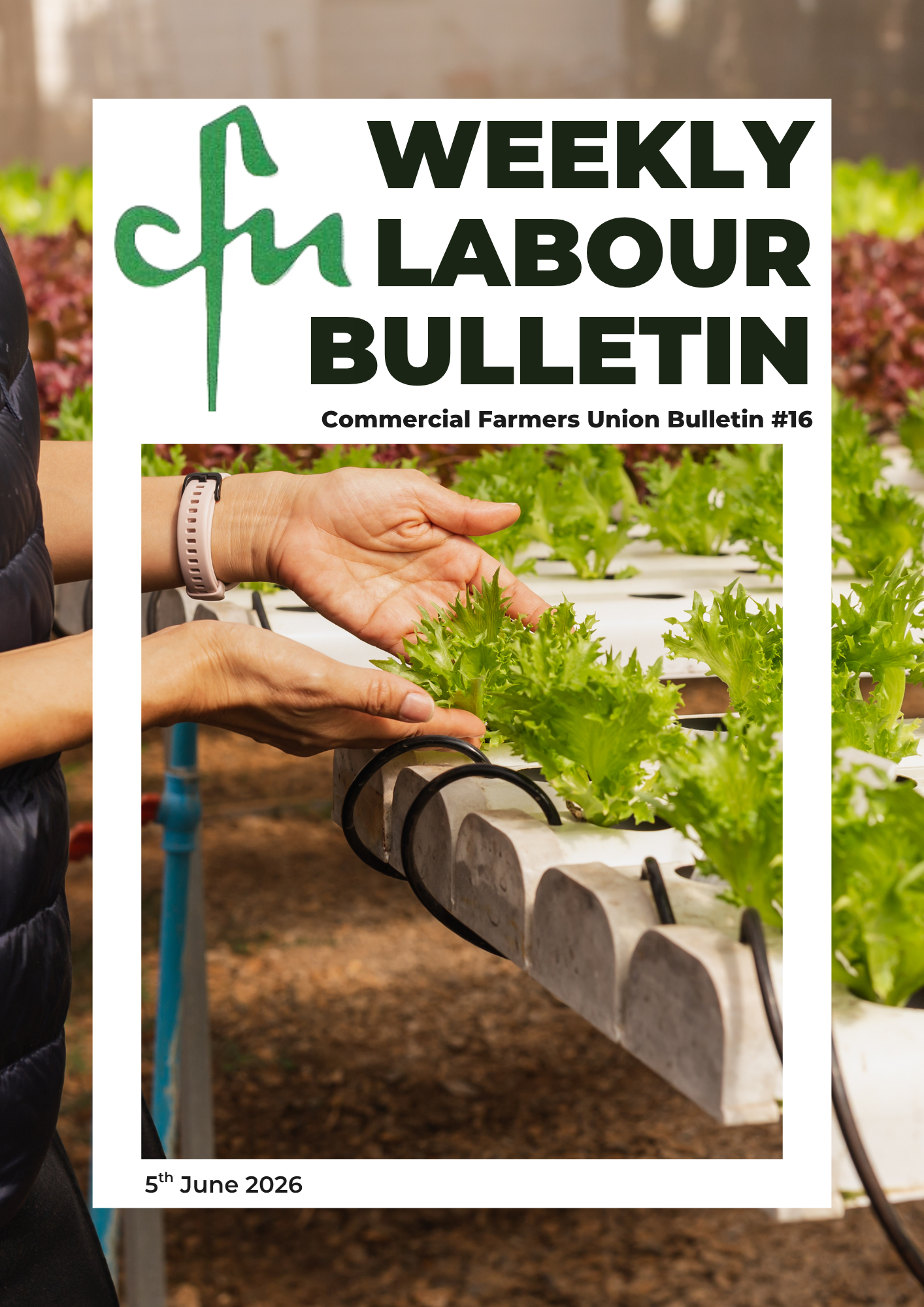 Labour Bulletin #16