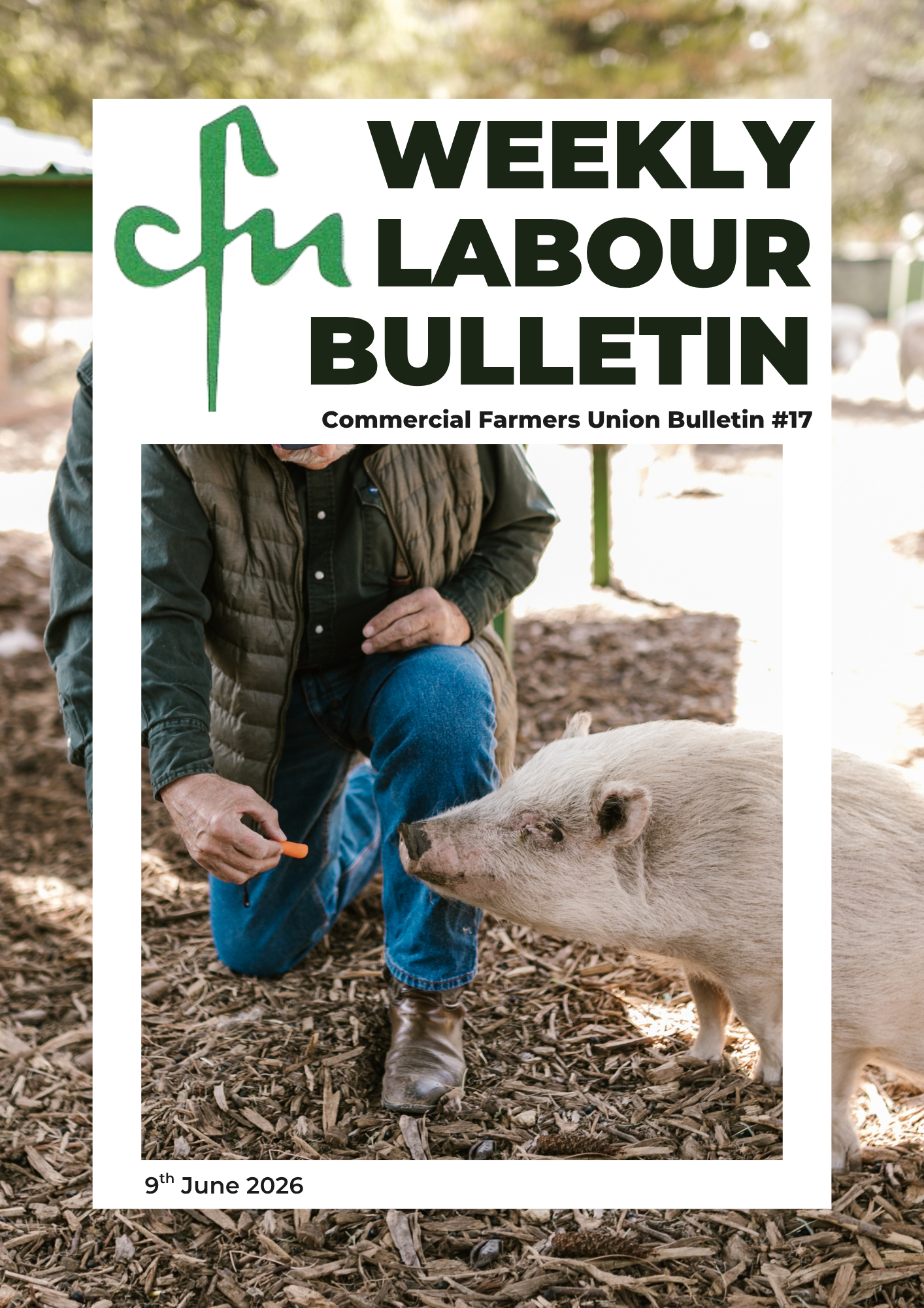Labour Bulletin #17
