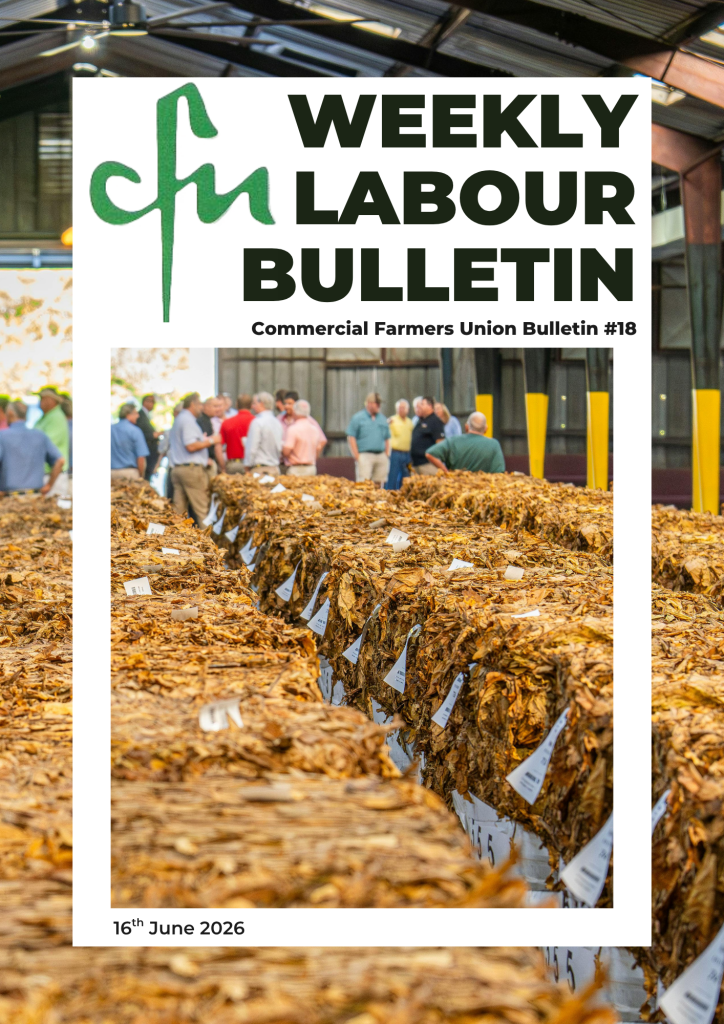 Labour Bulletin #18