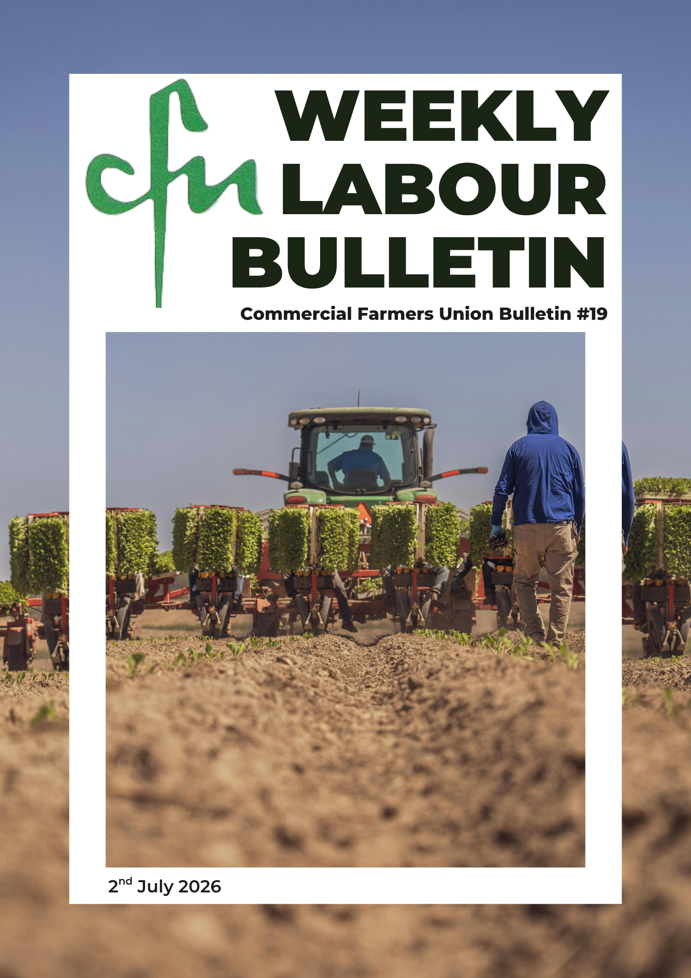 Labour Bulletin #19