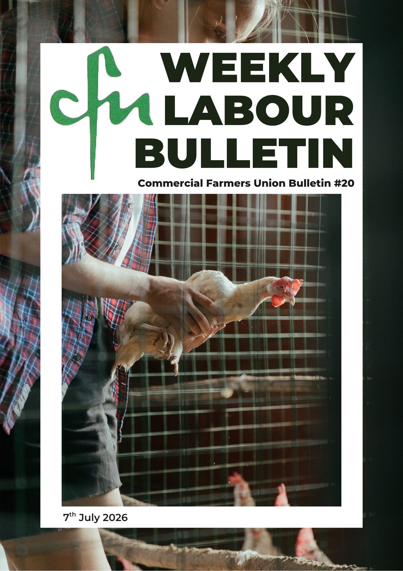 Labour Bulletin #20