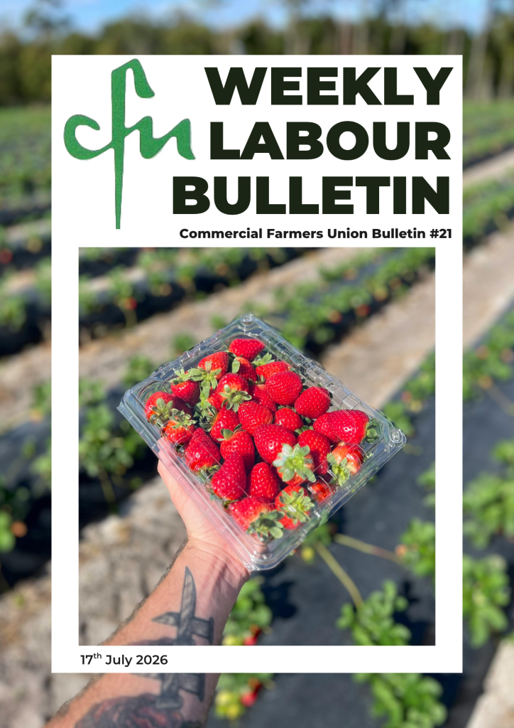 Labour Bulletin #21