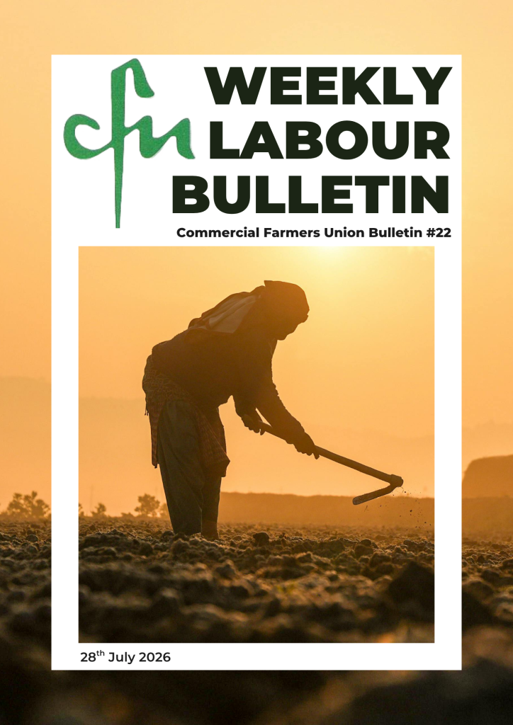 Labour Bulletin #22