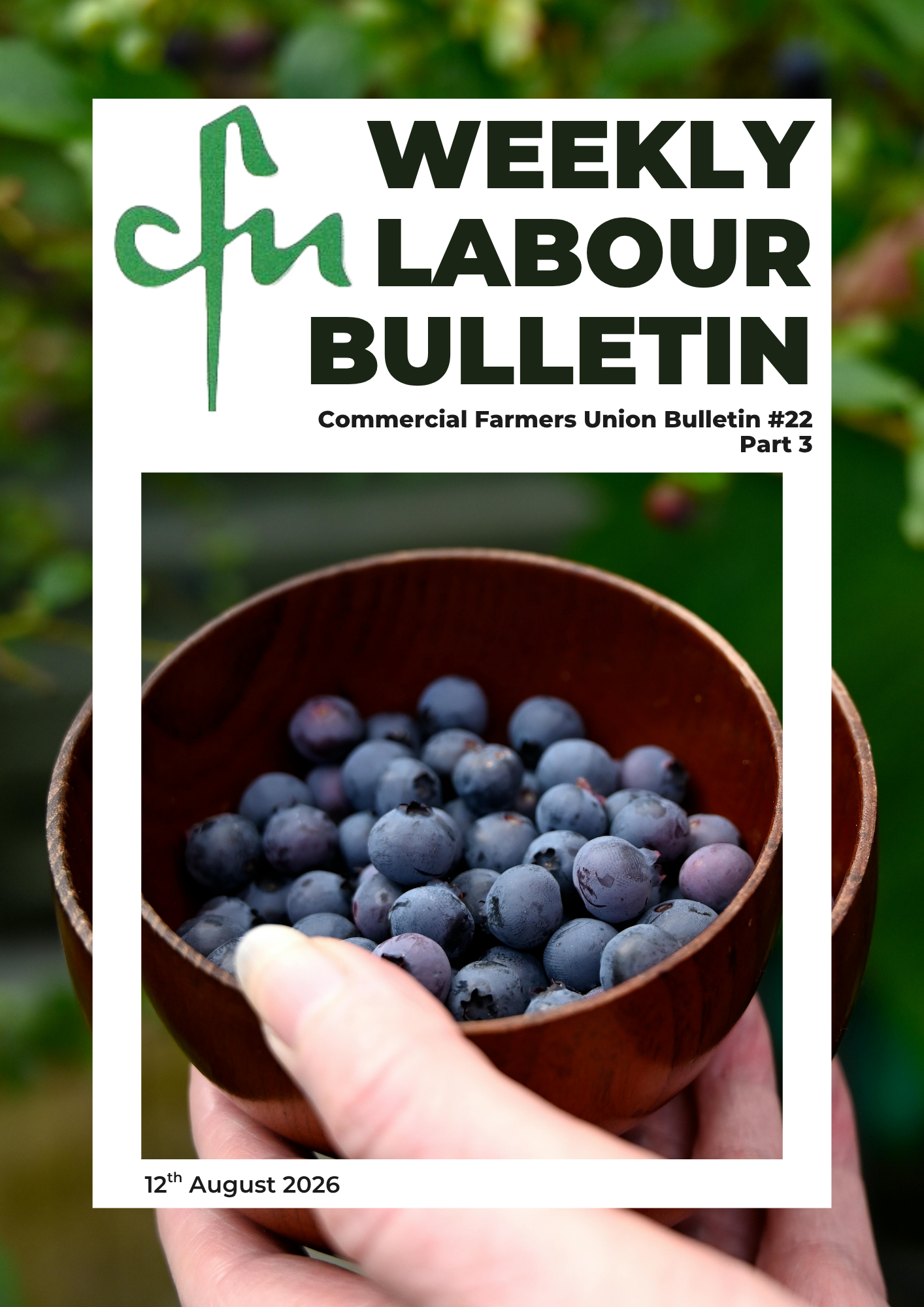 Labour Bulletin #22 - part 3