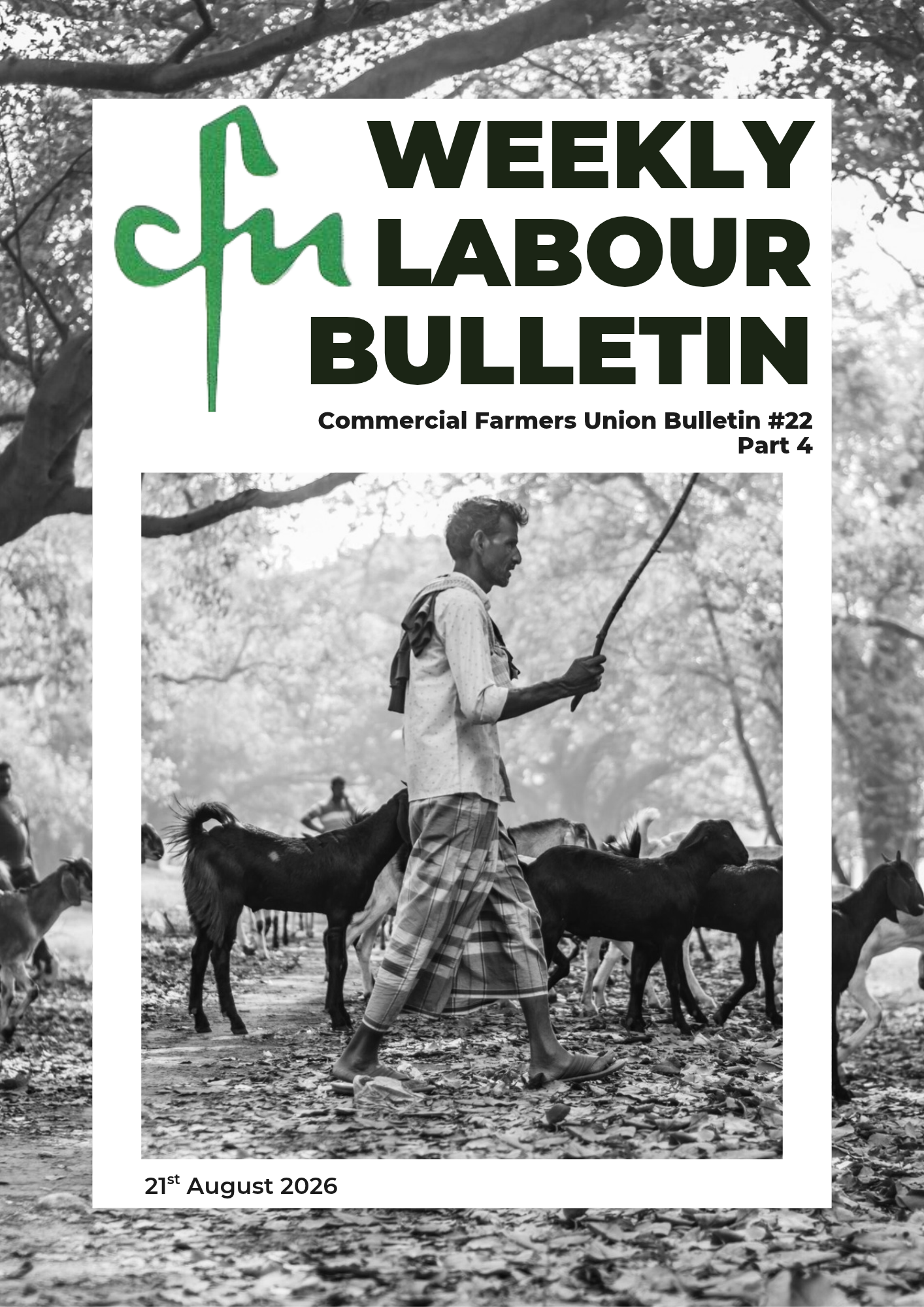 Labour Bulletin #22 - part 4