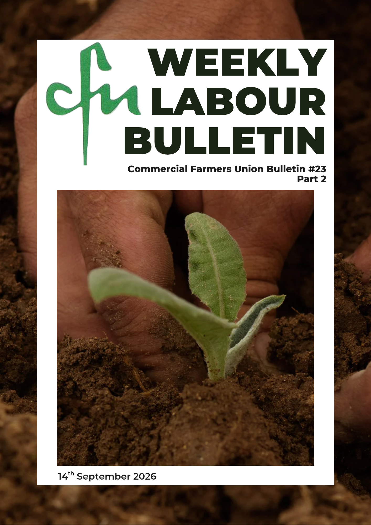 Labour Bulletin #23 - part 2