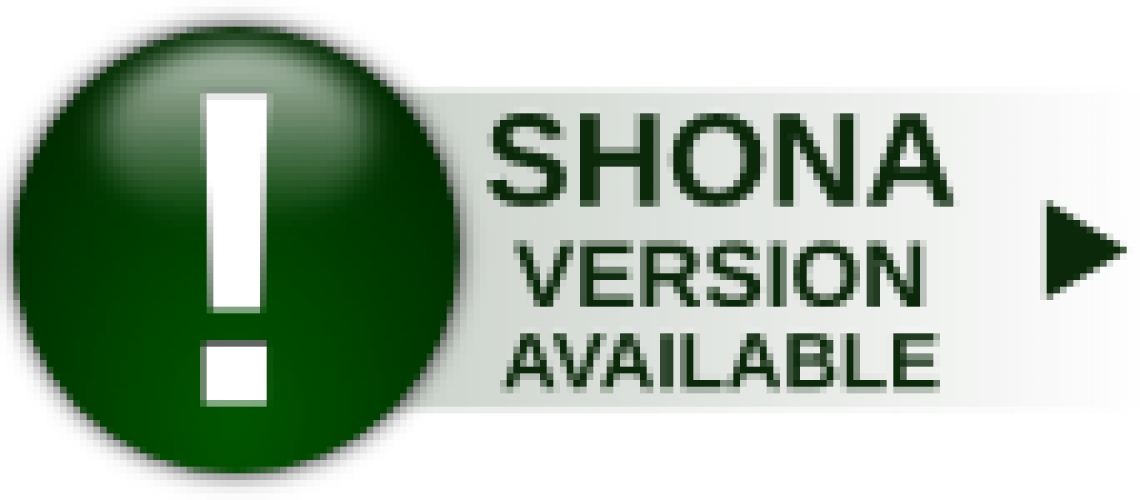 Shona Version Icon